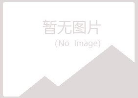 乐山夏岚化学有限公司